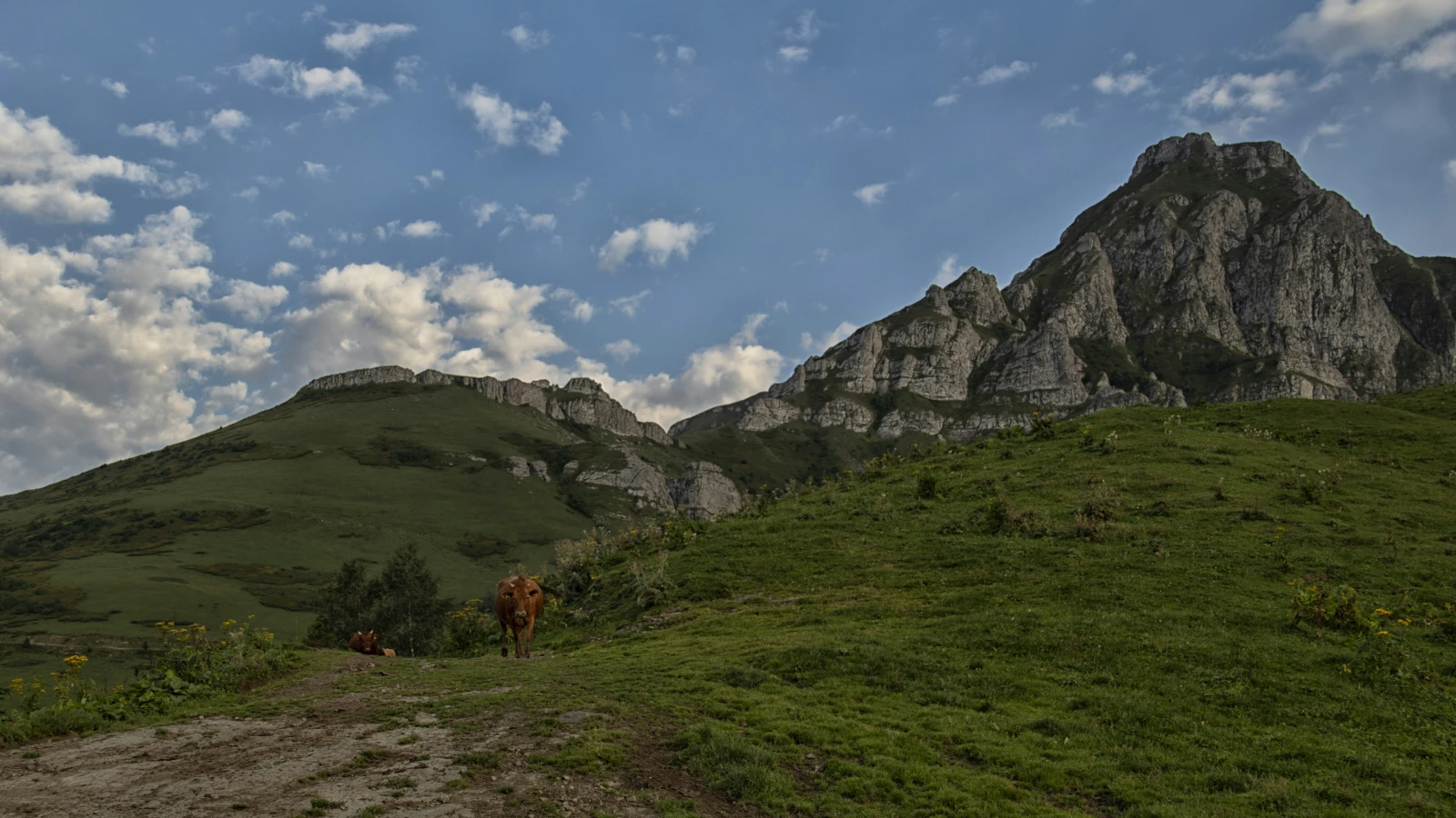 Couple exploring grassy hills near Kutaisi with a rental car